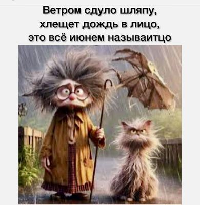 Открытка «С добрым утром»: С добрым утром! Июньское приключение с котом. Тэги: кот, животное, пожелание, юмор, утро…