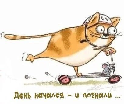 Открытка «С добрым утром»: С добрым утром! День начался – и погнали!. Тэги: хорошего дня, кот, животное, пожелание…