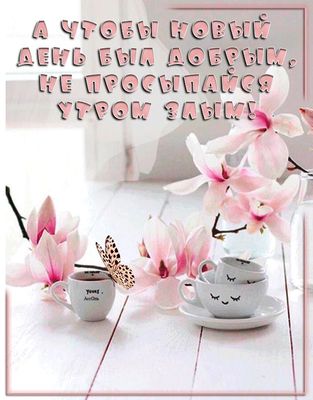 Открытка «С добрым утром»: Доброе утро: нежное пробуждение и улыбка. Тэги: хорошего дня, пожелание, позитивная, улыбка…