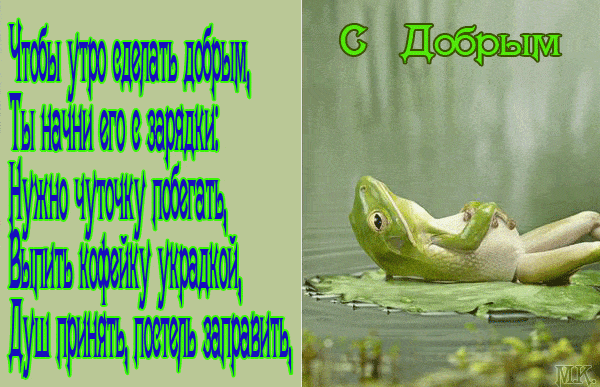 Открытка «С добрым утром»: С добрым утром! Зарядка, кофе, душ и веселая лягушка. Тэги: хорошего дня, животное, пожела…