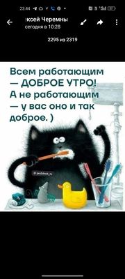 Открытка «С добрым утром»: Доброе утро: работающим и отдыхающим с юмором!. Тэги: хорошего дня, кот, животное, пожелан…