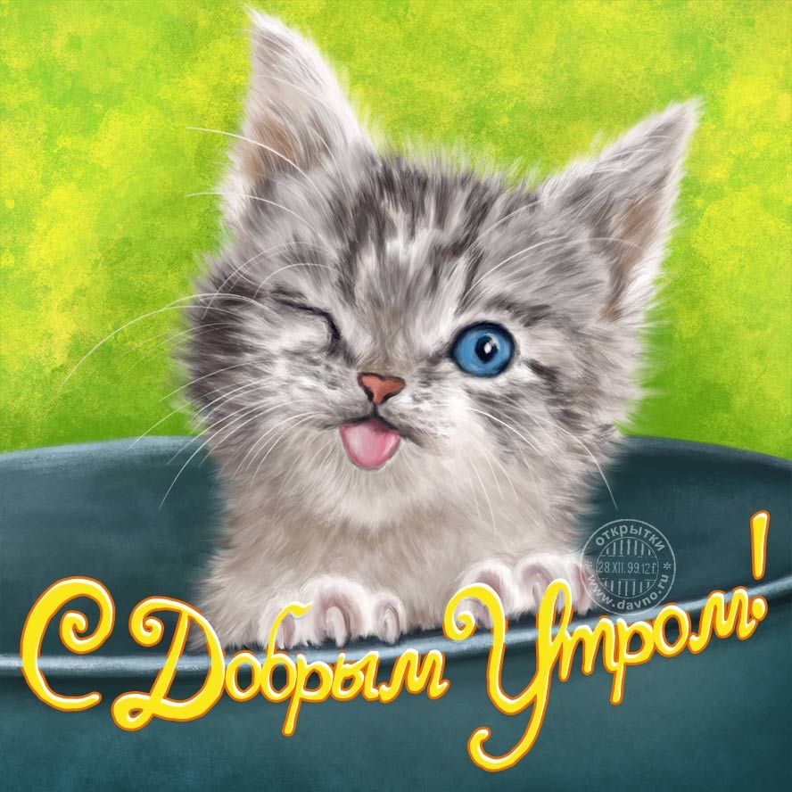 Открытка «С добрым утром»: С Добрым Утром! Милый котенок-проказник. Тэги: кот, животное, пожелание, позитивная, юмор…