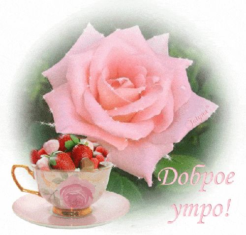 Открытка «С добрым утром»: Нежное доброе утро с розой и клубникой. Тэги: хорошего дня, пожелание, позитивная, отлично…