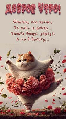 Открытка «С добрым утром»: Доброе утро: кот, розы и немного самоиронии. Тэги: кот, животное, пожелание, позитивная…
