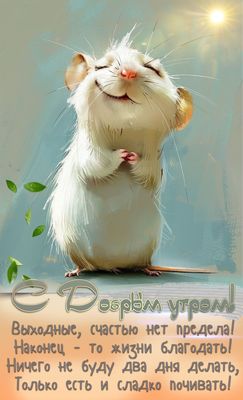 Открытка «С добрым утром»: С добрым утром! Мышонок желает чудесных выходных!. Тэги: животное, пожелание, позитивная…