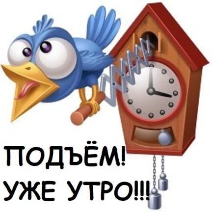 Открытка «С добрым утром»: Подъём! С добрым утром от весёлой кукушки!. Тэги: животное, пожелание, позитивная, отлично…