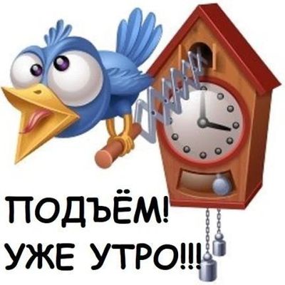 Открытка «С добрым утром»: Подъём! С добрым утром от весёлой кукушки!. Тэги: животное, пожелание, позитивная, отлично…