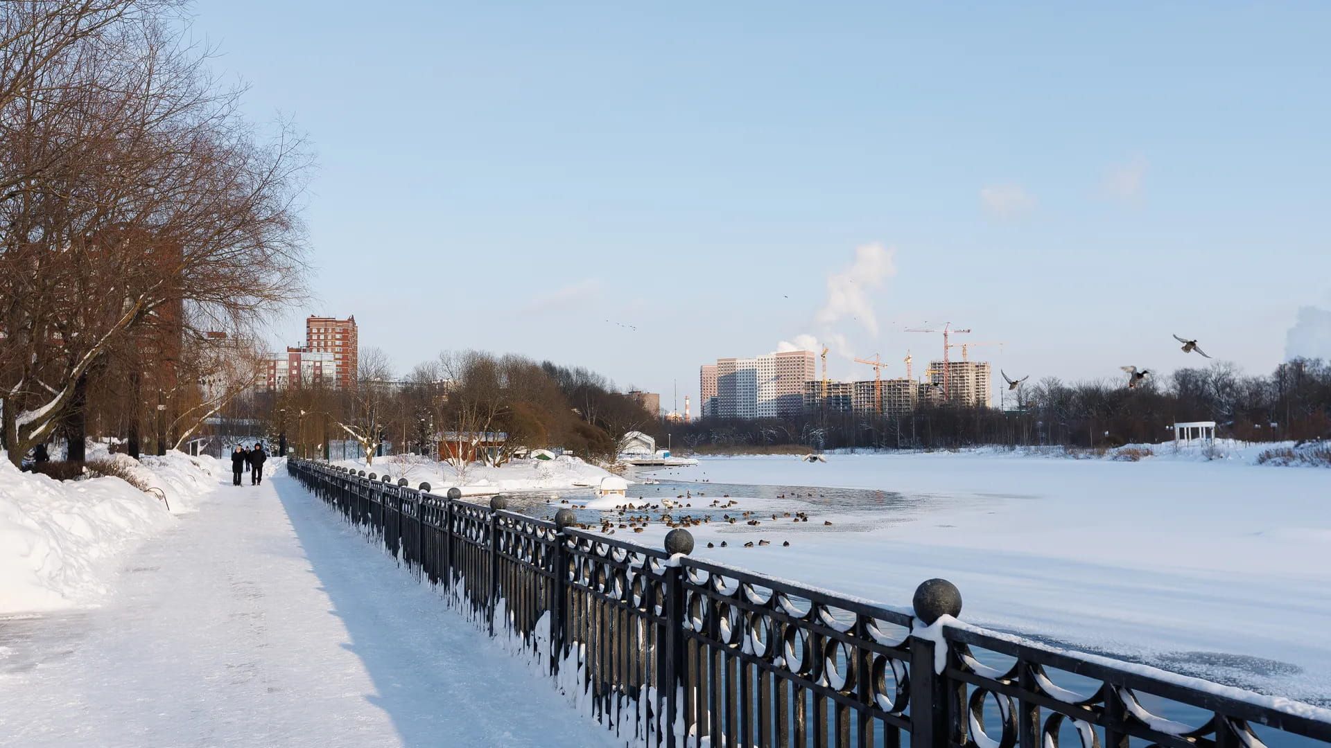 Открытка «С добрым утром»: Доброе зимнее утро у воды. Тэги: хорошего дня, пожелание, позитивная, отличное настроение…