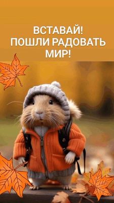 Открытка «С добрым утром»: С добрым утром! Вставай, пошли радовать мир!. Тэги: хорошего дня, животное, пожелание…