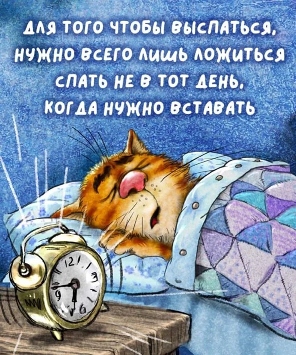 Открытка «С добрым утром»: С добрым утром! Секрет идеального сна от кота.. Тэги: кот, животное, пожелание, позитивная…