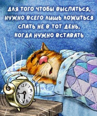 Открытка «С добрым утром»: С добрым утром! Секрет идеального сна от кота.. Тэги: кот, животное, пожелание, позитивная…