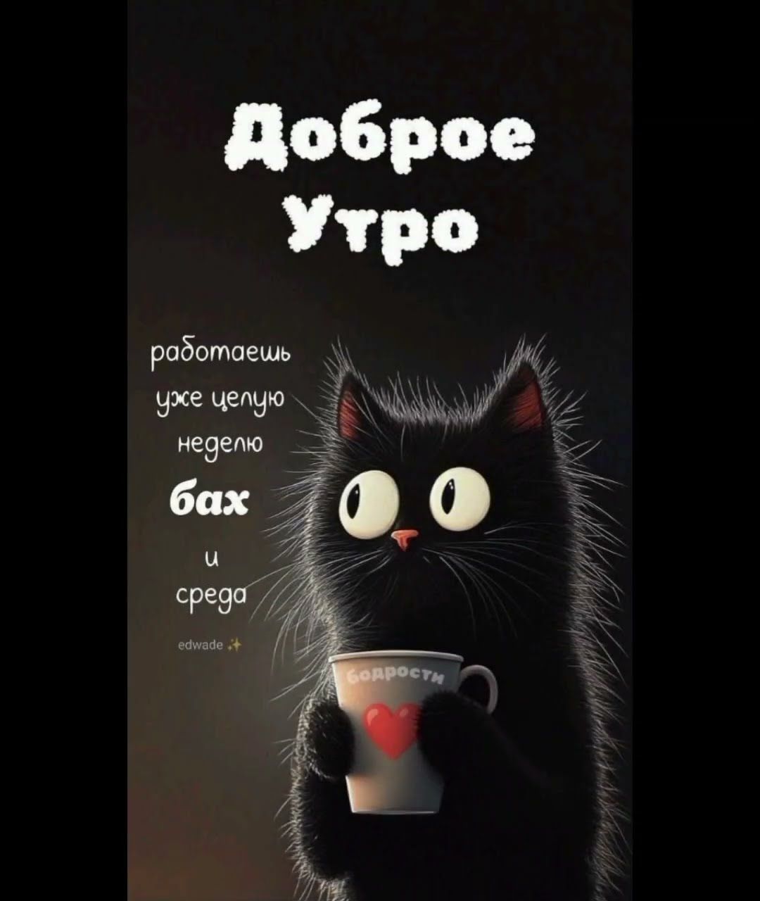 Открытка «С добрым утром»: С добрым утром: кот, бодрость и середина недели. Тэги: кот, животное, пожелание, позитивная…