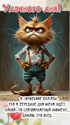 Открытка «Добрый день»: Удачного дня! Кот-ворчун и гороскоп про обед. Тэги: проза, Добрый день и добрые пожелания…