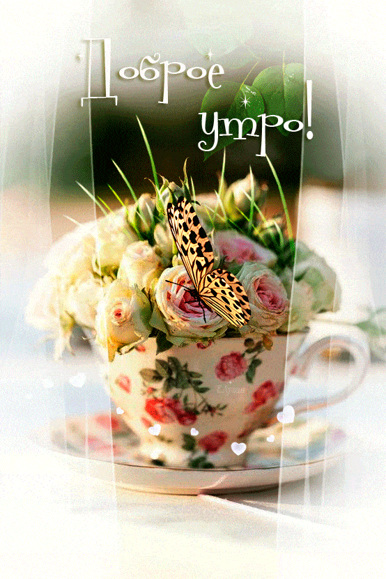 Открытка «С добрым утром»: Нежное доброе утро с цветами и бабочкой. Тэги: хорошего дня, пожелание, позитивная, отличн…