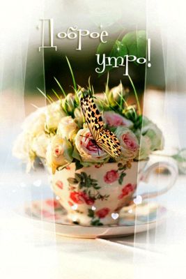 Открытка «С добрым утром»: Нежное доброе утро с цветами и бабочкой. Тэги: хорошего дня, пожелание, позитивная, отличн…