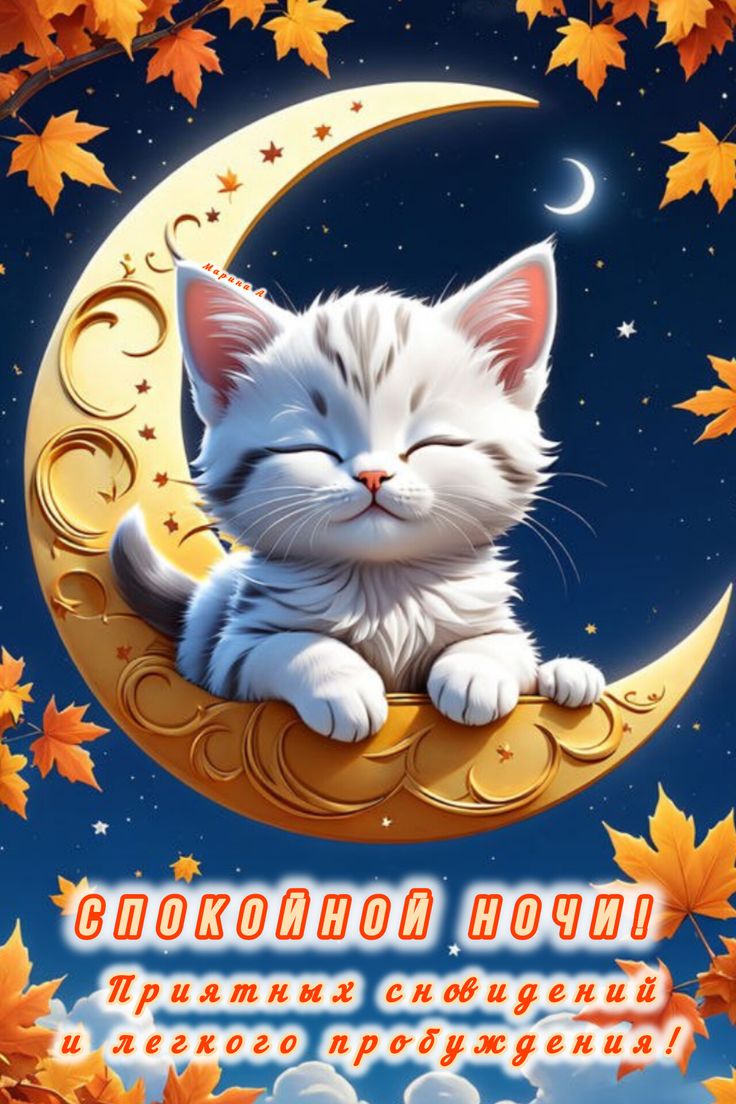 Открытка «Доброй ночи»: Спокойной ночи: Открытка с милым котенком на месяце. Тэги: Спокойной ночи, Спокойной ночи…