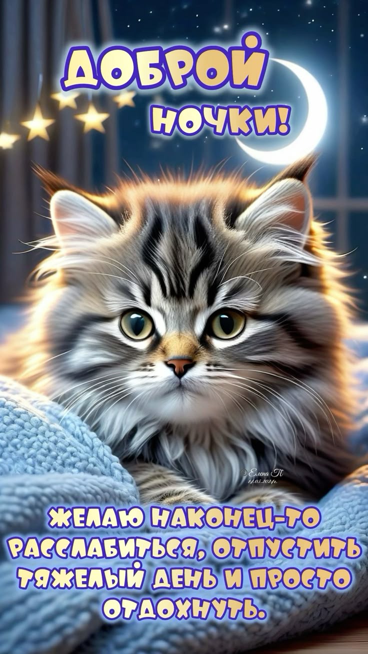 Открытка «Доброй ночи»: Доброй ночи: Милый кот желает спокойного отдыха.
