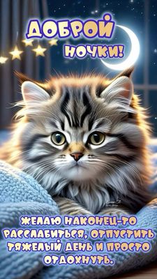 Открытка «Доброй ночи»: Доброй ночи: Милый кот желает спокойного отдыха.