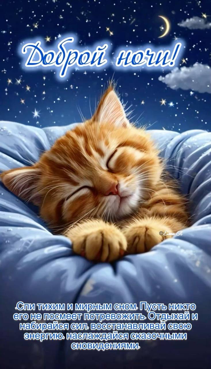Открытка «Доброй ночи»: Доброй ночи: милый рыжий котик и звездное небо. Тэги: Спокойной ночи, Спокойной ночи, красивые…