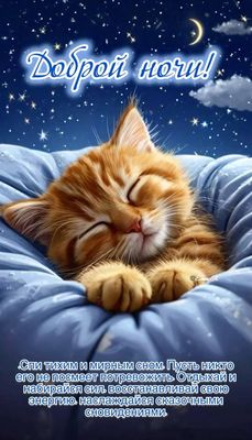 Открытка «Доброй ночи»: Доброй ночи: милый рыжий котик и звездное небо. Тэги: Спокойной ночи, Спокойной ночи, красивые…