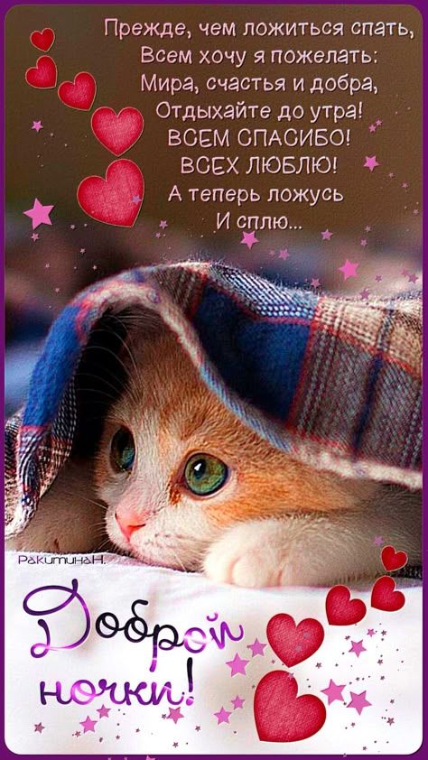 Открытка «Доброй ночи»: Доброй ночи: Милый котенок и доброе пожелание. Тэги: Спокойной ночи, Спокойной ночи, с пожела…