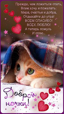 Открытка «Доброй ночи»: Доброй ночи: Милый котенок и доброе пожелание. Тэги: Спокойной ночи, Спокойной ночи, с пожела…