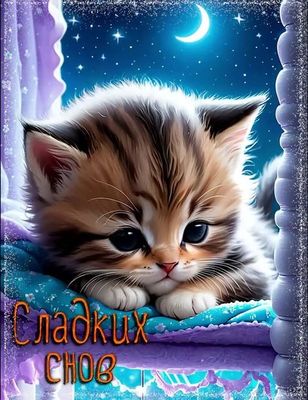 Открытка «Доброй ночи»: Спокойной ночи: милый котенок и пожелание «Сладких снов». Тэги: Спокойной ночи, Спокойной ночи…