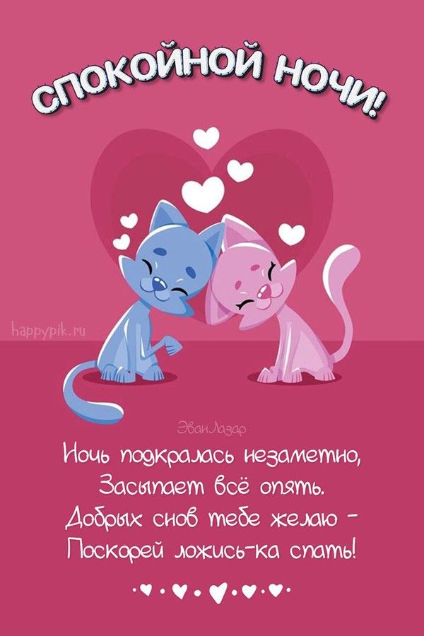 Открытка «Доброй ночи»: Спокойной ночи: милые котики и пожелание добрых снов. Тэги: Спокойной ночи, Спокойной ночи…