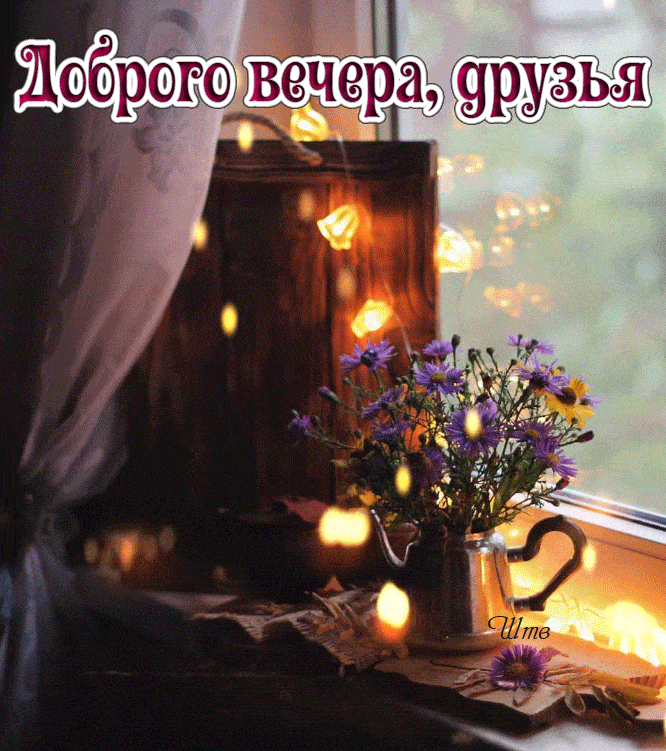 Открытка «Добрый вечер и пожелания»: Добрый вечер, друзья: Уютный вечер у окна с цветами. Тэги: Доброго вечера и хоро…