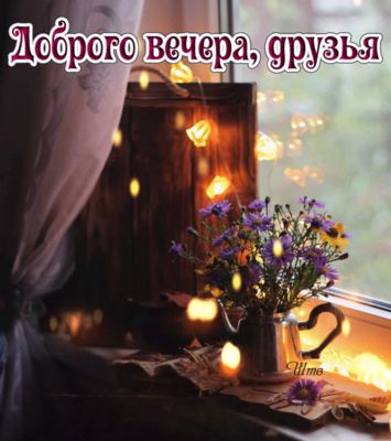 Открытка «Добрый вечер и пожелания»: Добрый вечер, друзья: Уютный вечер у окна с цветами. Тэги: Доброго вечера и хоро…