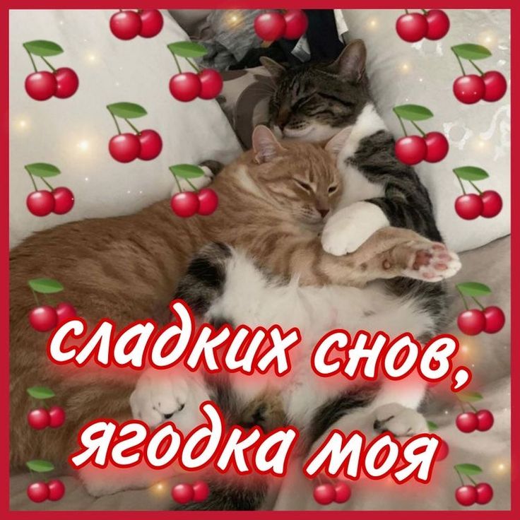 Открытка «Доброй ночи»: Доброй ночи: открытка «Сладких снов, ягодка моя». Тэги: Спокойной ночи, любимая женщина…