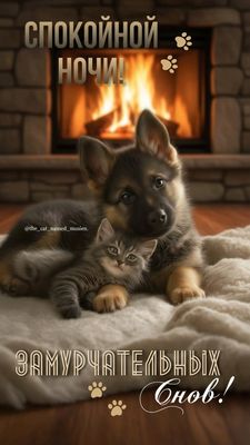 Открытка «Доброй ночи»: Спокойной ночи! Милые собака и котик у камина. Тэги: Спокойной ночи, Спокойной ночи, с пожела…