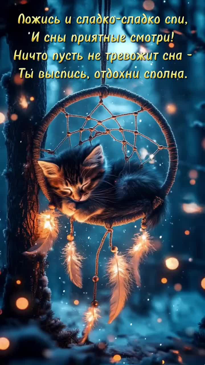 Открытка «Доброй ночи»: Доброй ночи: Волшебный сон котенка в лесу. Тэги: Спокойной ночи, Спокойной ночи, с пожеланиями…