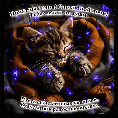 Открытка «Доброй ночи»: Спокойной ночи: милый котенок и доброе пожелание. Тэги: Спокойной ночи, Спокойной ночи…