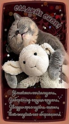 Открытка «Доброй ночи»: Доброй ночи: Милый котик с овечкой и пожеланием. Тэги: Спокойной ночи, Спокойной ночи, с поже…