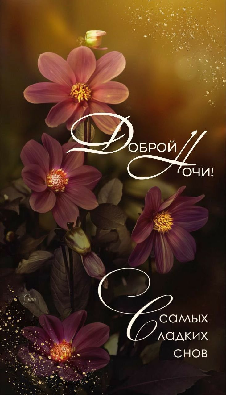 Открытка «Доброй ночи»: Доброй ночи: красивые цветы и сладкие сны. Тэги: Спокойной ночи, Спокойной ночи, красивые…