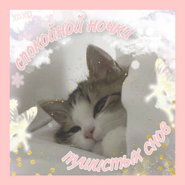 Открытка «Доброй ночи»: Доброй ночи: «Пушистых снов» с милым котенком. Тэги: Спокойной ночи, Спокойной ночи, с пожела…