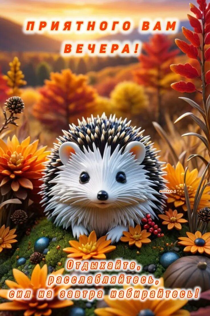 Открытка «Добрый вечер и пожелания»: Добрый вечер: милый ежик в осенних цветах. Тэги: Добрый вечер красивые, Доброго…