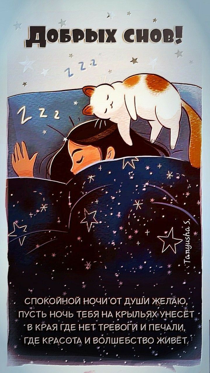 Открытка «Доброй ночи»: Спокойной ночи: открытка с котом и пожеланием. Тэги: Спокойной ночи, Спокойной ночи, с пожела…