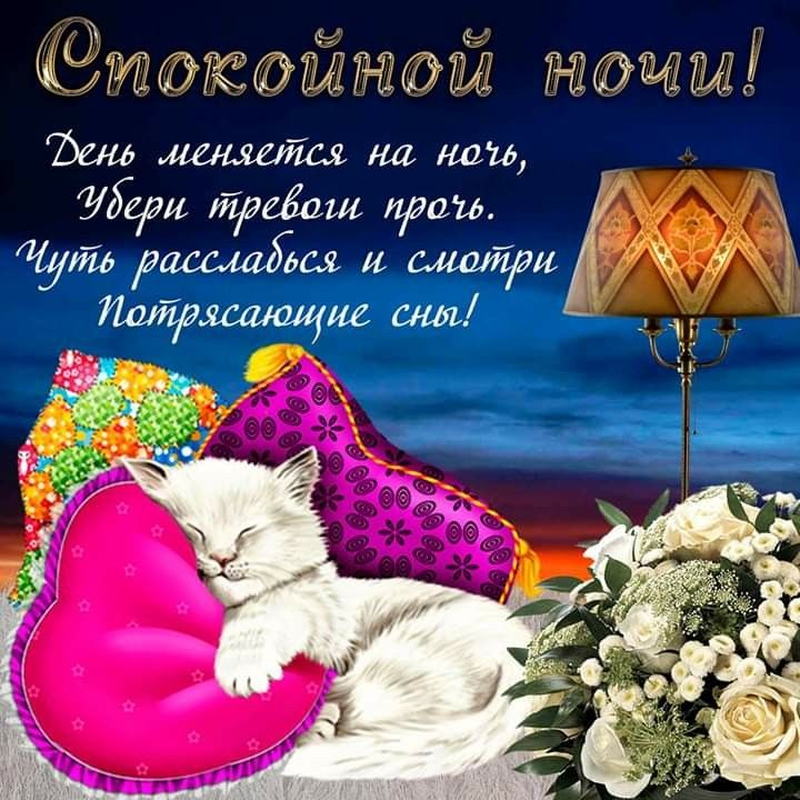Открытка «Доброй ночи»: Спокойной ночи: доброе пожелание со спящим котиком. Тэги: Спокойной ночи, Спокойной ночи…