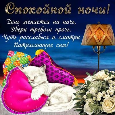 Открытка «Доброй ночи»: Спокойной ночи: доброе пожелание со спящим котиком. Тэги: Спокойной ночи, Спокойной ночи…