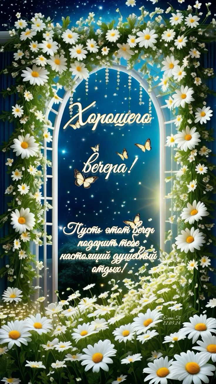 Открытка «Добрый вечер и пожелания»: Добрый вечер: «Волшебная арка из ромашек». Тэги: Добрый вечер красивые, Добрый в…