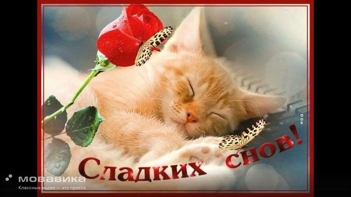 Открытка «Доброй ночи»: Доброй ночи: Спящий котенок и красная роза. Тэги: Спокойной ночи, Спокойной ночи, красивые…