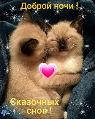 Открытка «Доброй ночи»: Доброй ночи: «Милые котята» и сказочные сны. Тэги: Спокойной ночи, Спокойной ночи, с пожелани…
