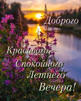 Открытка «Добрый вечер и пожелания»: Добрый вечер: красивый летний закат у реки. Тэги: Добрый вечер красивые, Доброго…