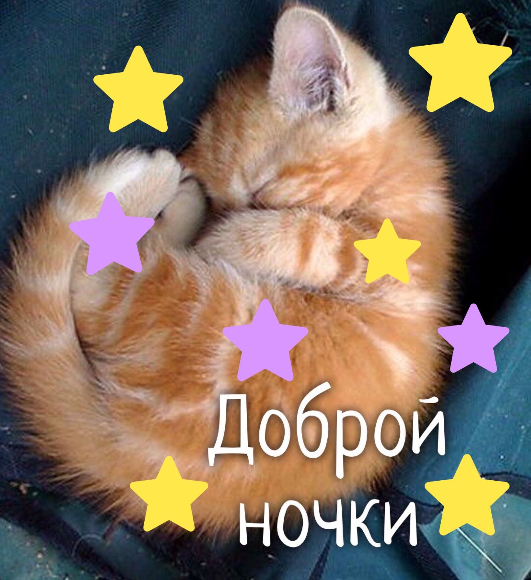 Открытка «Доброй ночи»: Спокойной ночи: милый рыжий котенок со звездами. Тэги: Спокойной ночи, Спокойной ночи, с поже…