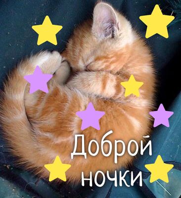 Открытка «Доброй ночи»: Спокойной ночи: милый рыжий котенок со звездами. Тэги: Спокойной ночи, Спокойной ночи, с поже…