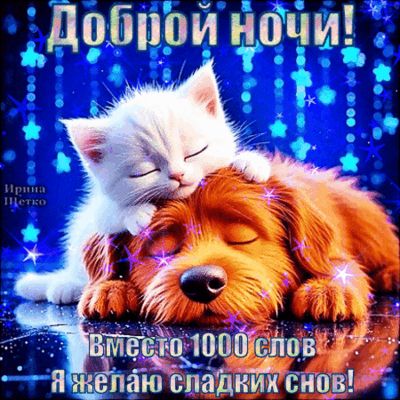 Открытка «Доброй ночи»: Спокойной ночи: милая открытка с котенком и собакой. Тэги: Спокойной ночи, Спокойной ночи…