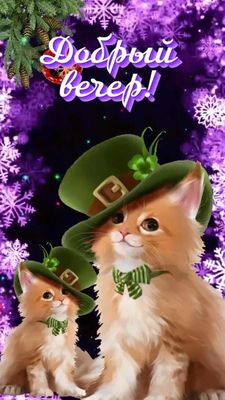 Открытка «Добрый вечер и пожелания»: Добрый вечер! Волшебные коты в зеленых шляпах. Тэги: Добрый зимний вечер, Прикол…