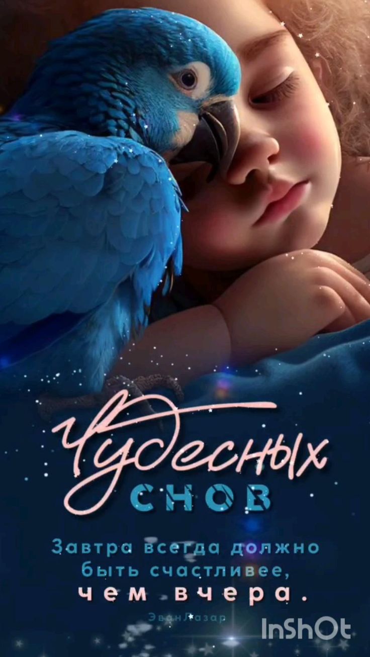 Открытка «Доброй ночи»: Спокойной ночи: Чудесных снов и море счастья. Тэги: Спокойной ночи, Спокойной ночи, с пожелан…